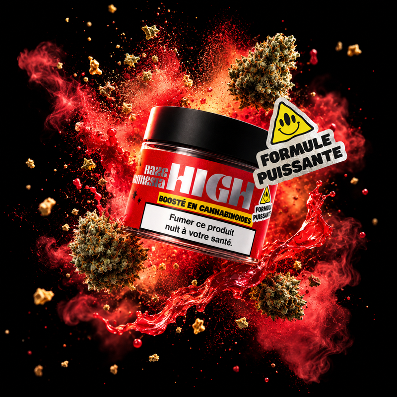 Amnesia HIGH